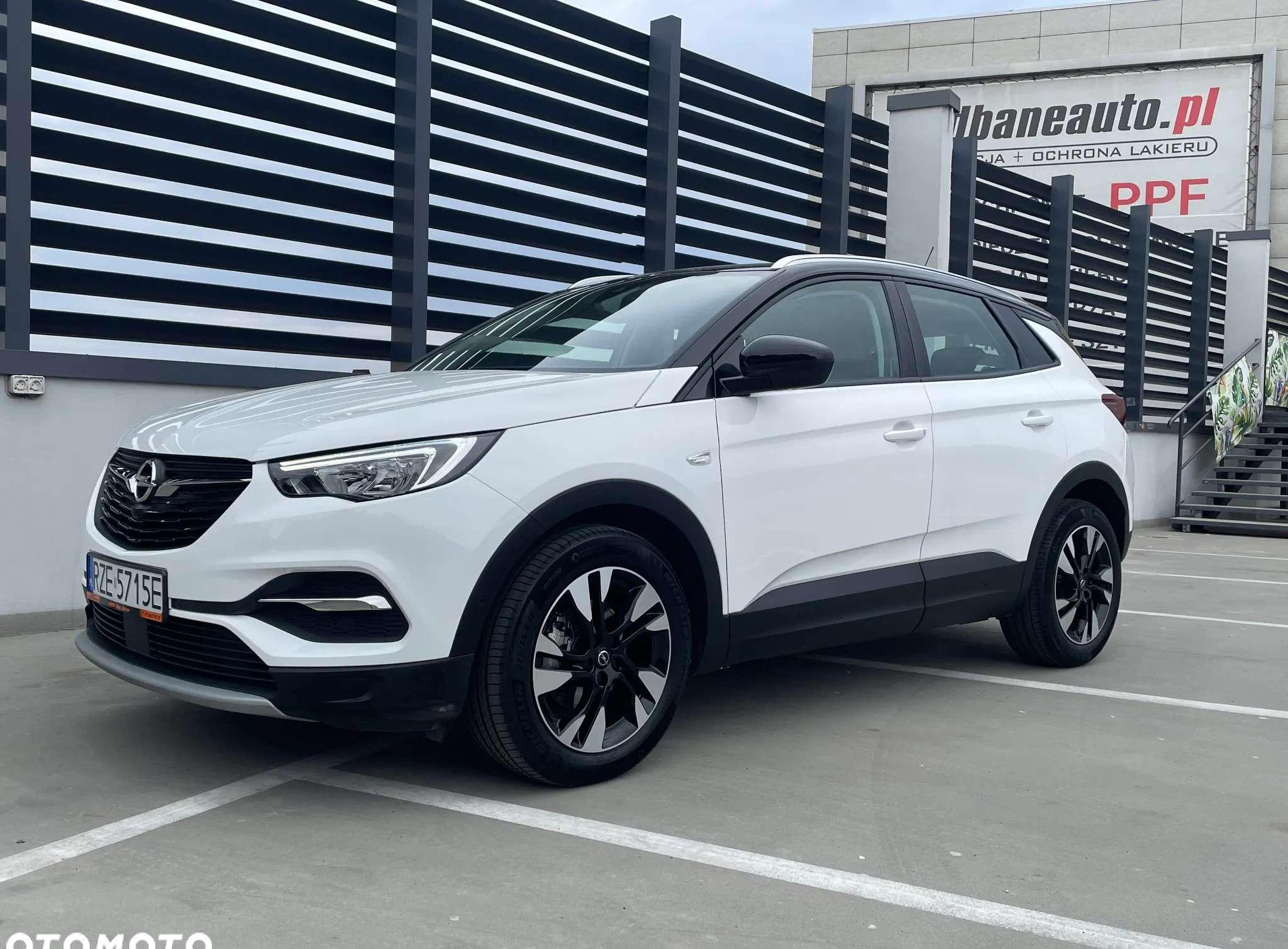 Opel Grandland X cena 89900 przebieg: 45200, rok produkcji 2021 z Rzeszów małe 704